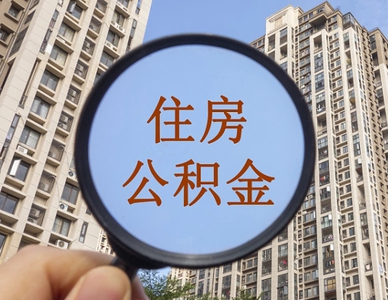 沂源退休后查不到公积金明细了吗（退休后公积金查询不到原因）